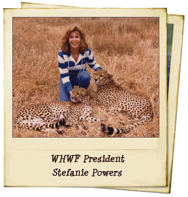 William Holden Wildlife Foundation